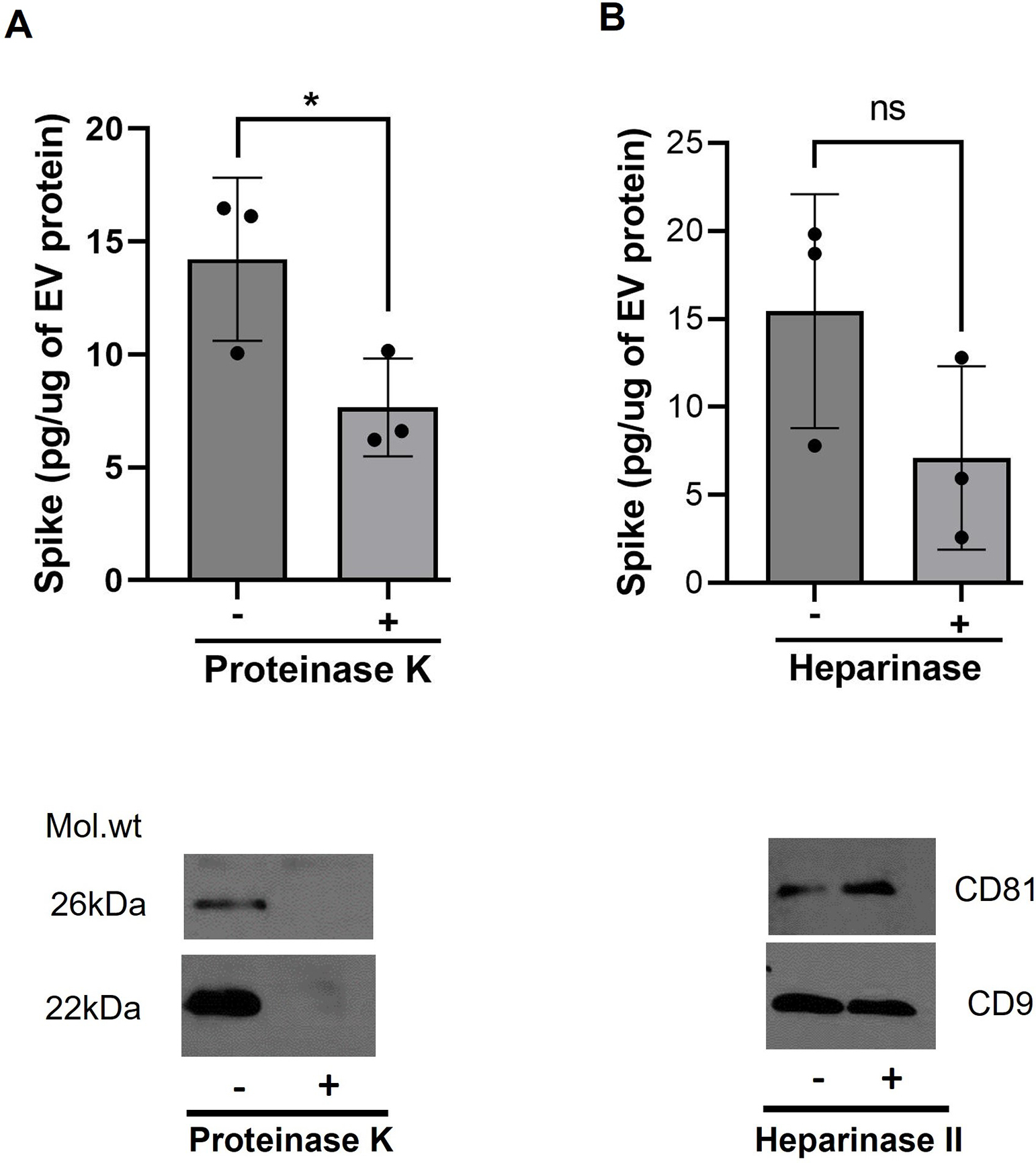 Figure 3: