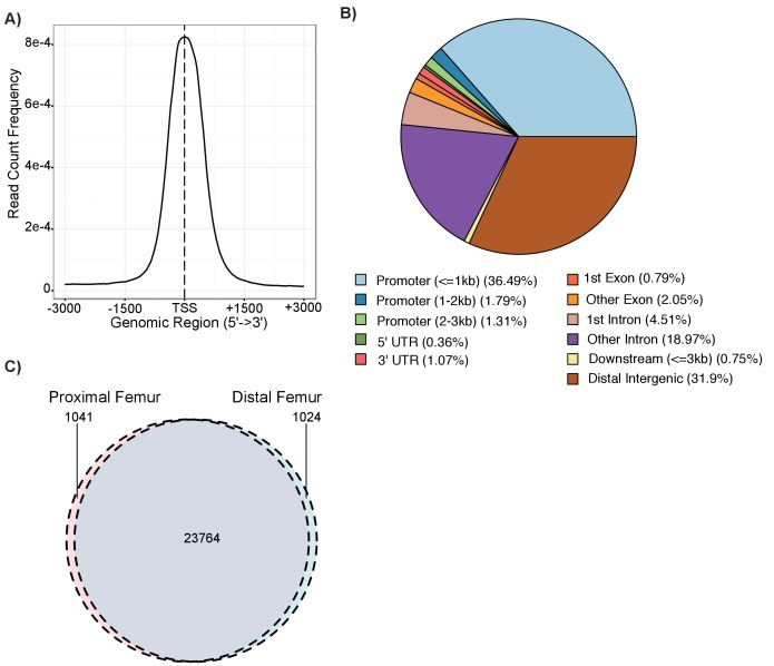 Figure 1—figure supplement 1.