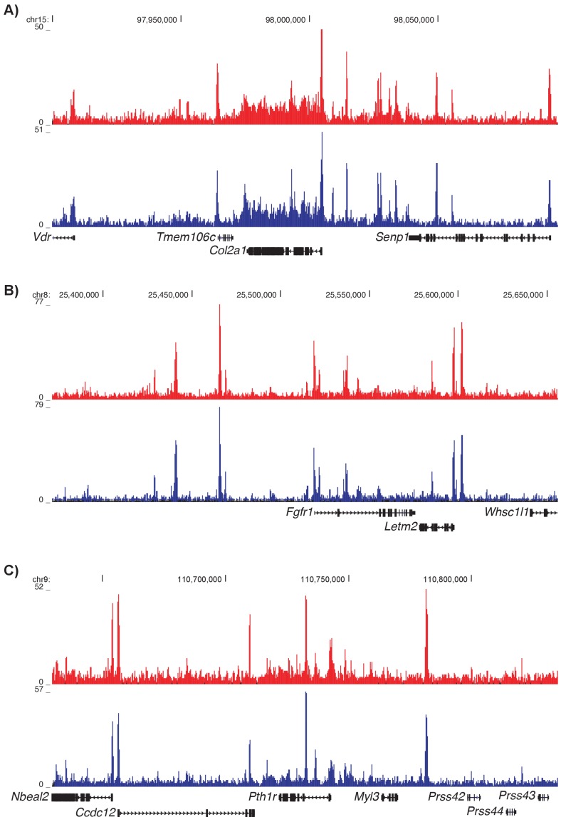 Figure 1—figure supplement 2.