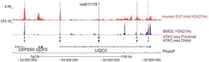 Figure 6—figure supplement 2.