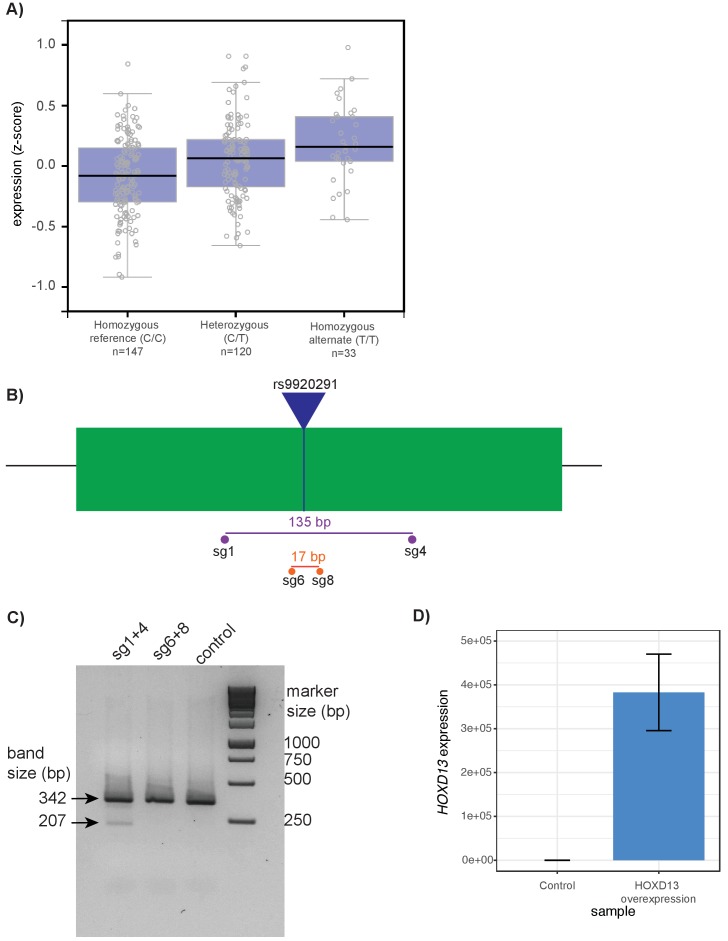 Figure 6—figure supplement 1.