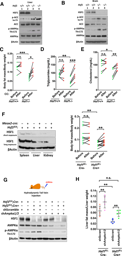 Figure 6: