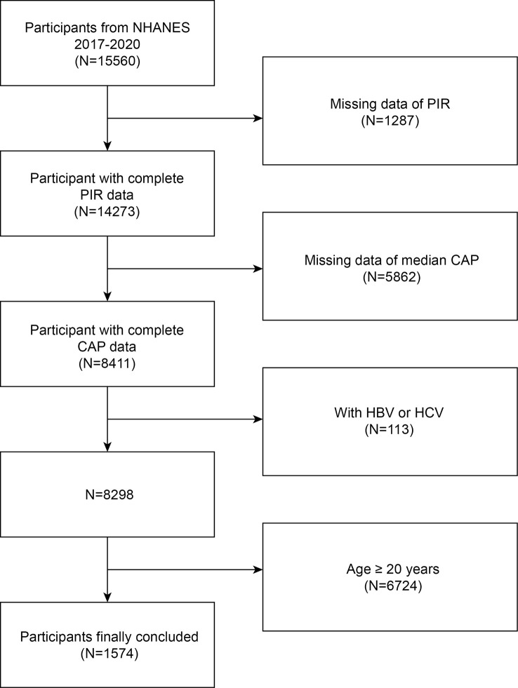 Figure 1