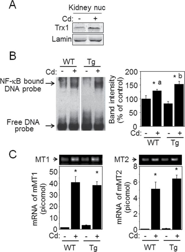 FIG. 7.