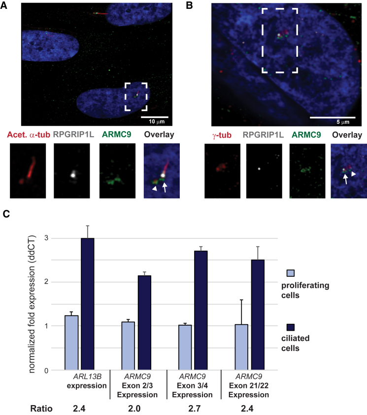 Figure 3