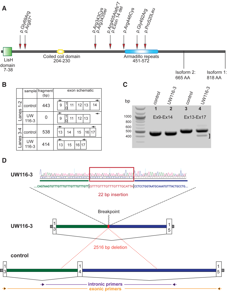 Figure 1