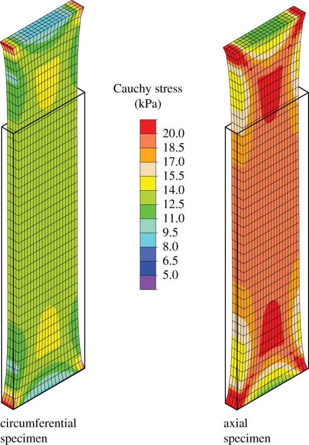 Figure 11.