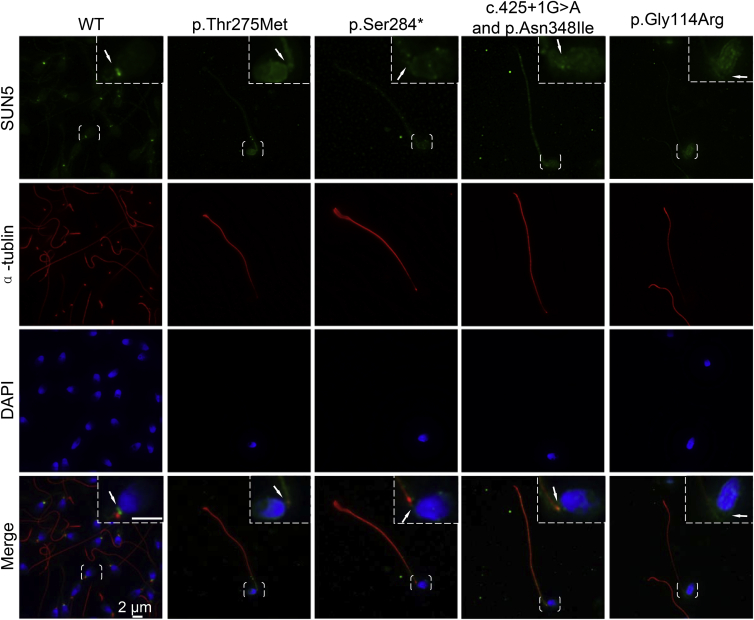 Figure 3