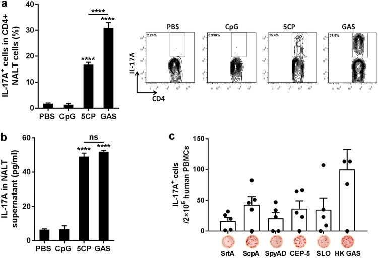 FIG 2