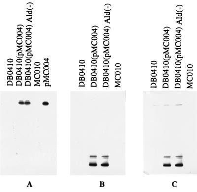 FIG. 3