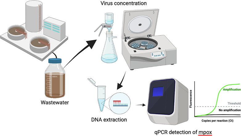 Unlabelled Image