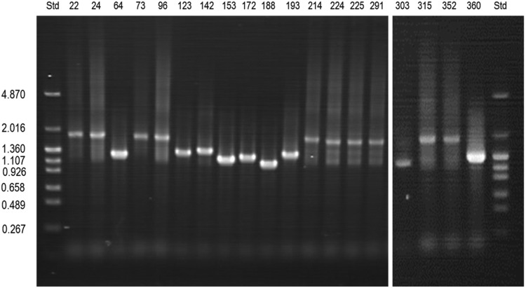 Figure 2