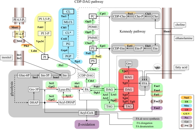 Figure 2 