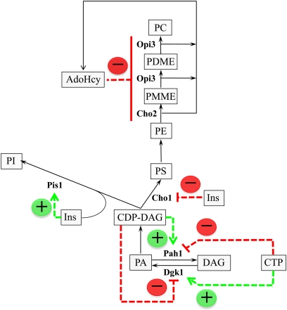 Figure 4 