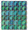 Fig. 3