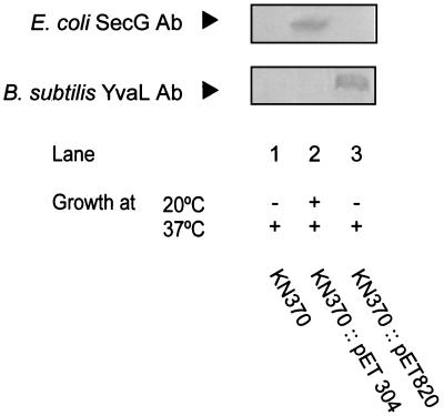 FIG. 5