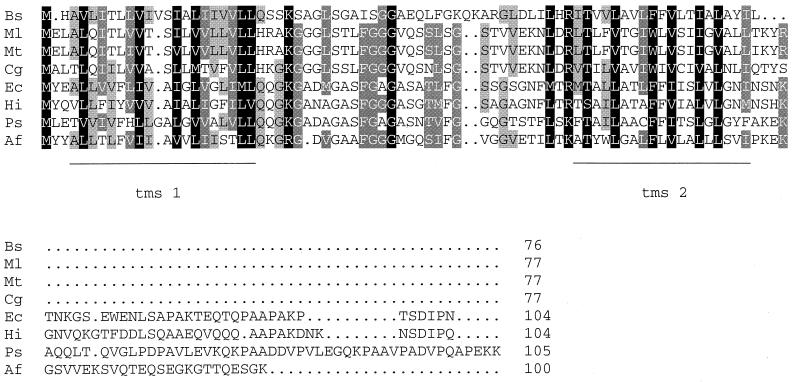 FIG. 1