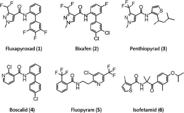 PS-4761-FIG-0001-b