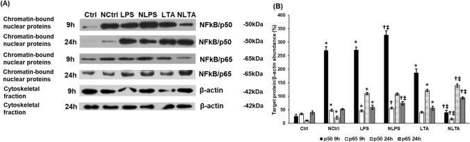 Fig. 9