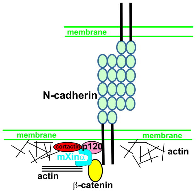 Fig. 10