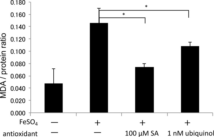 Fig 5