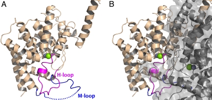 Fig. 3.