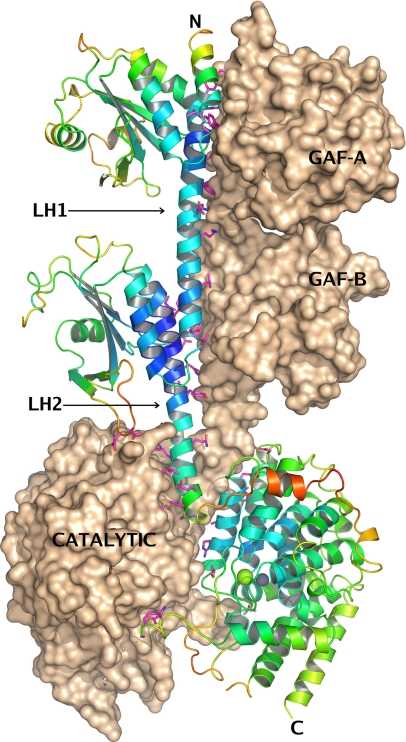 Fig. 1.