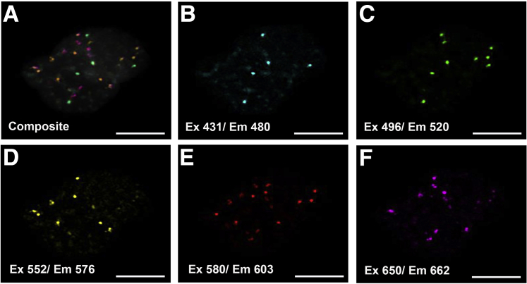 Figure 4