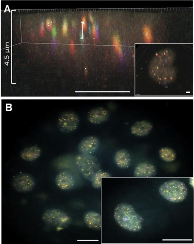 Figure 13