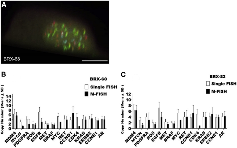 Figure 12