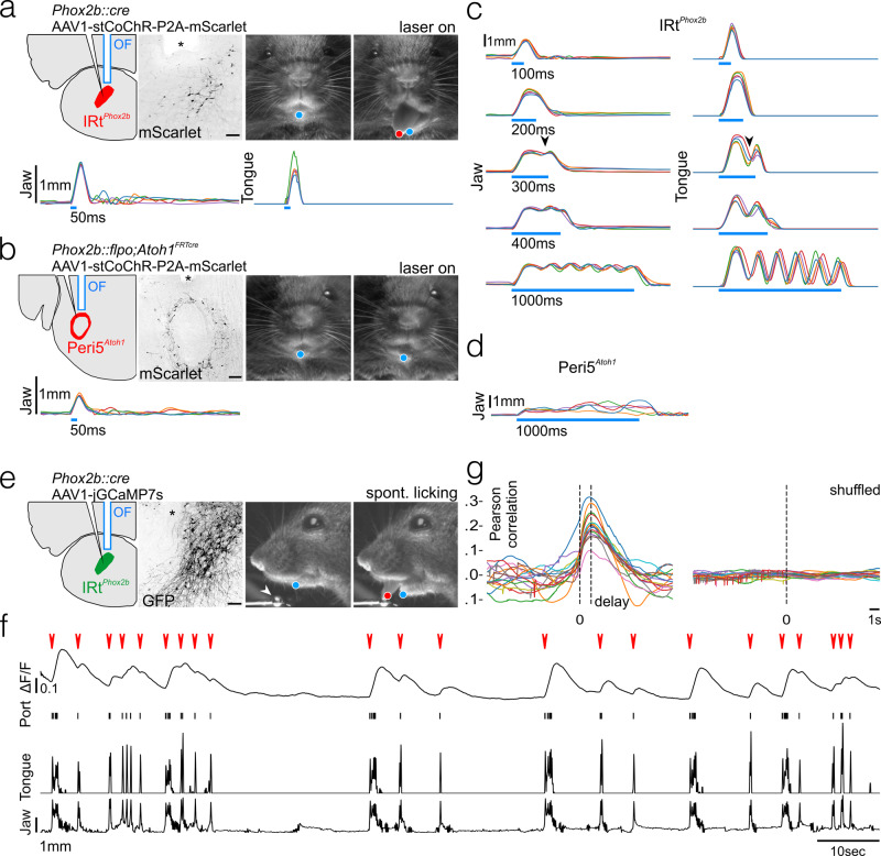 Fig. 4