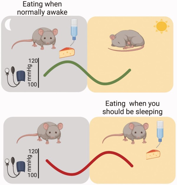 Graphical Abstract