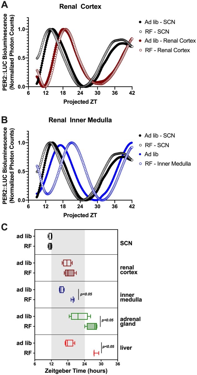 Figure 9.