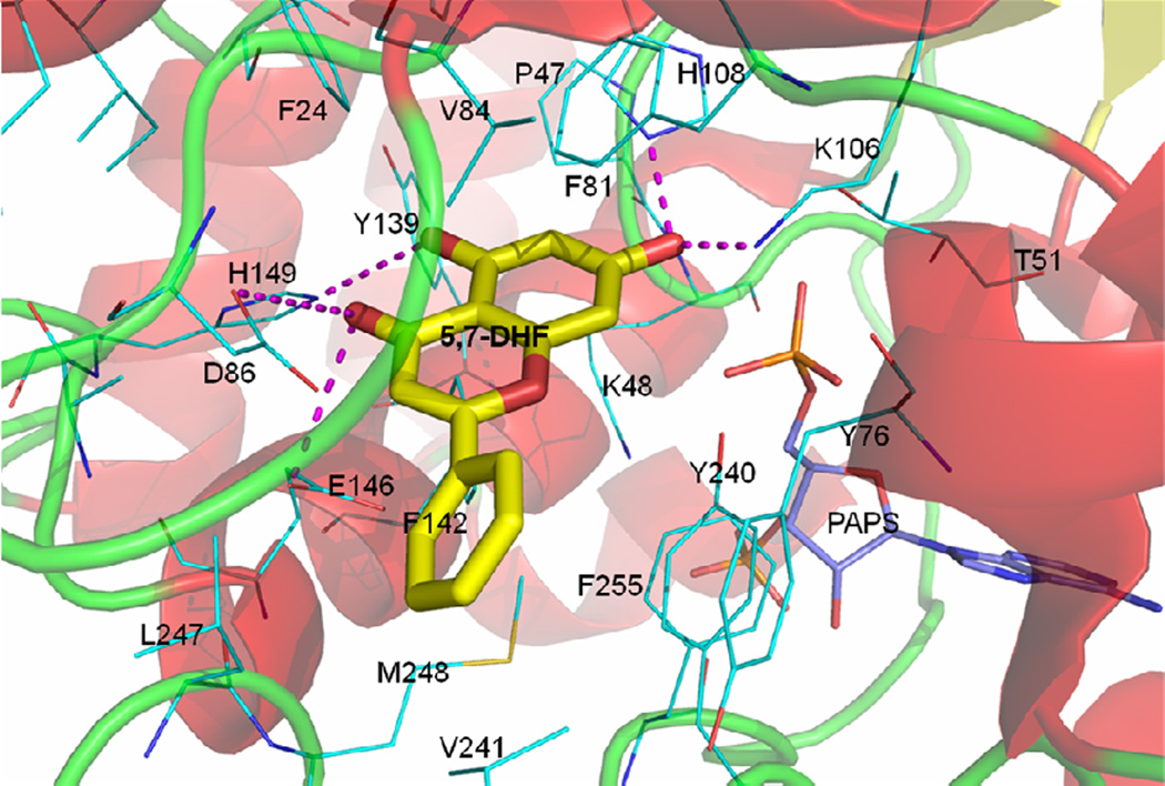 Figure 5