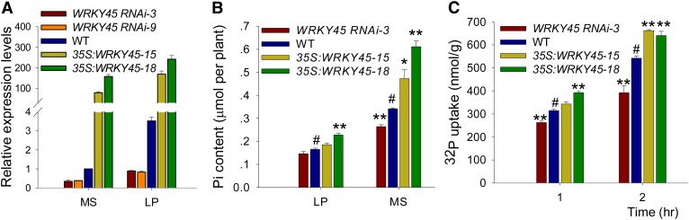 Figure 2.