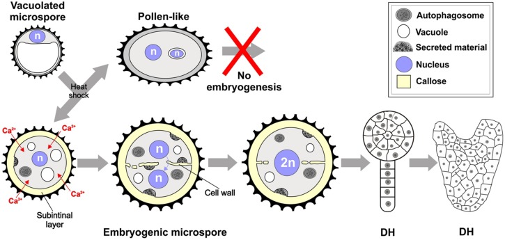 FIGURE 9