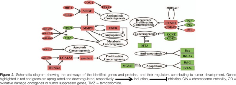 graphic file with name medi-95-e5268-g004.jpg
