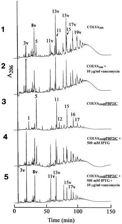 FIG. 5.