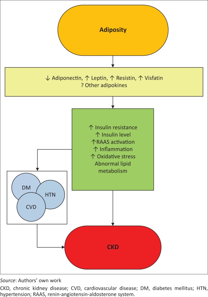 FIGURE 1