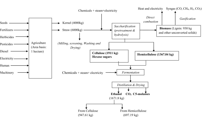 Fig. 3