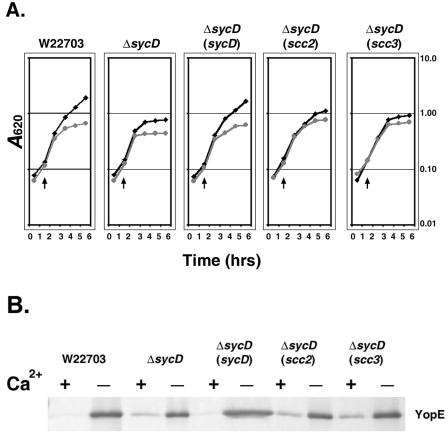 FIG. 2.