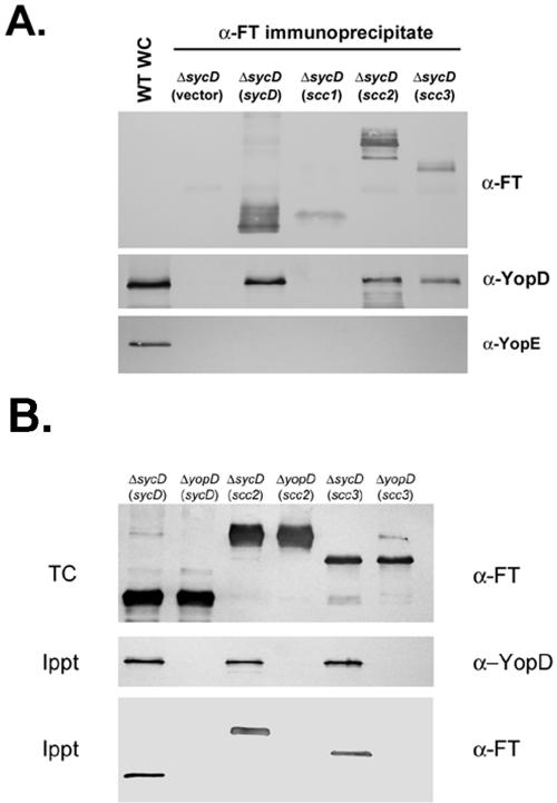 FIG. 4.