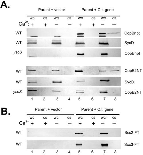 FIG. 6.