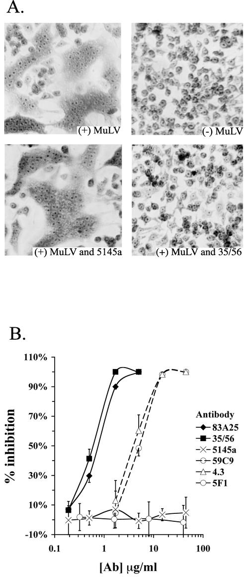 FIG. 5.