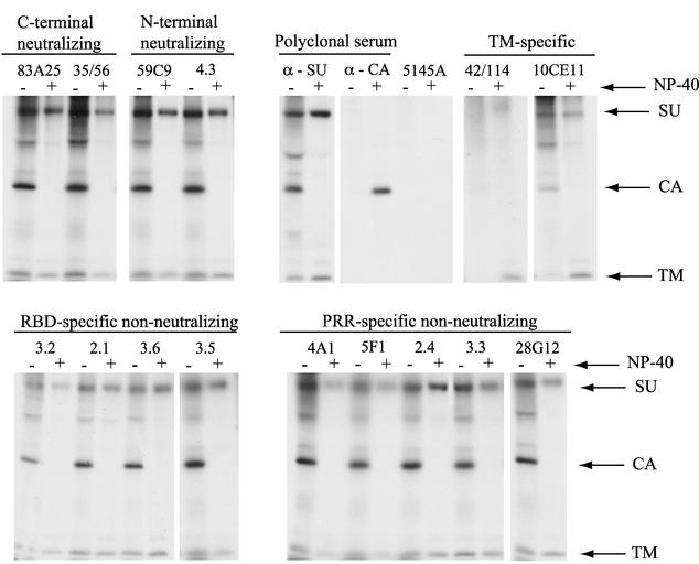 FIG. 6.