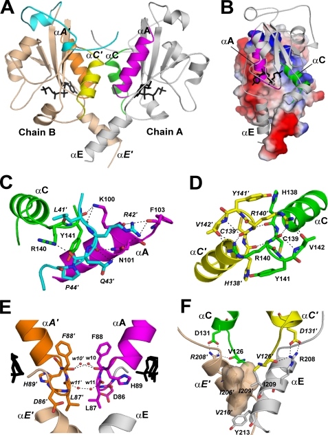 FIGURE 4.