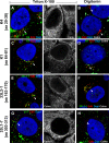 FIG 4