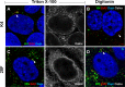 FIG 6