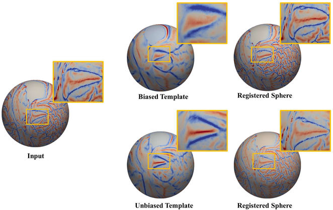 Figure 1: