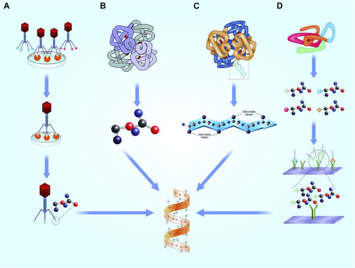 FIGURE 1